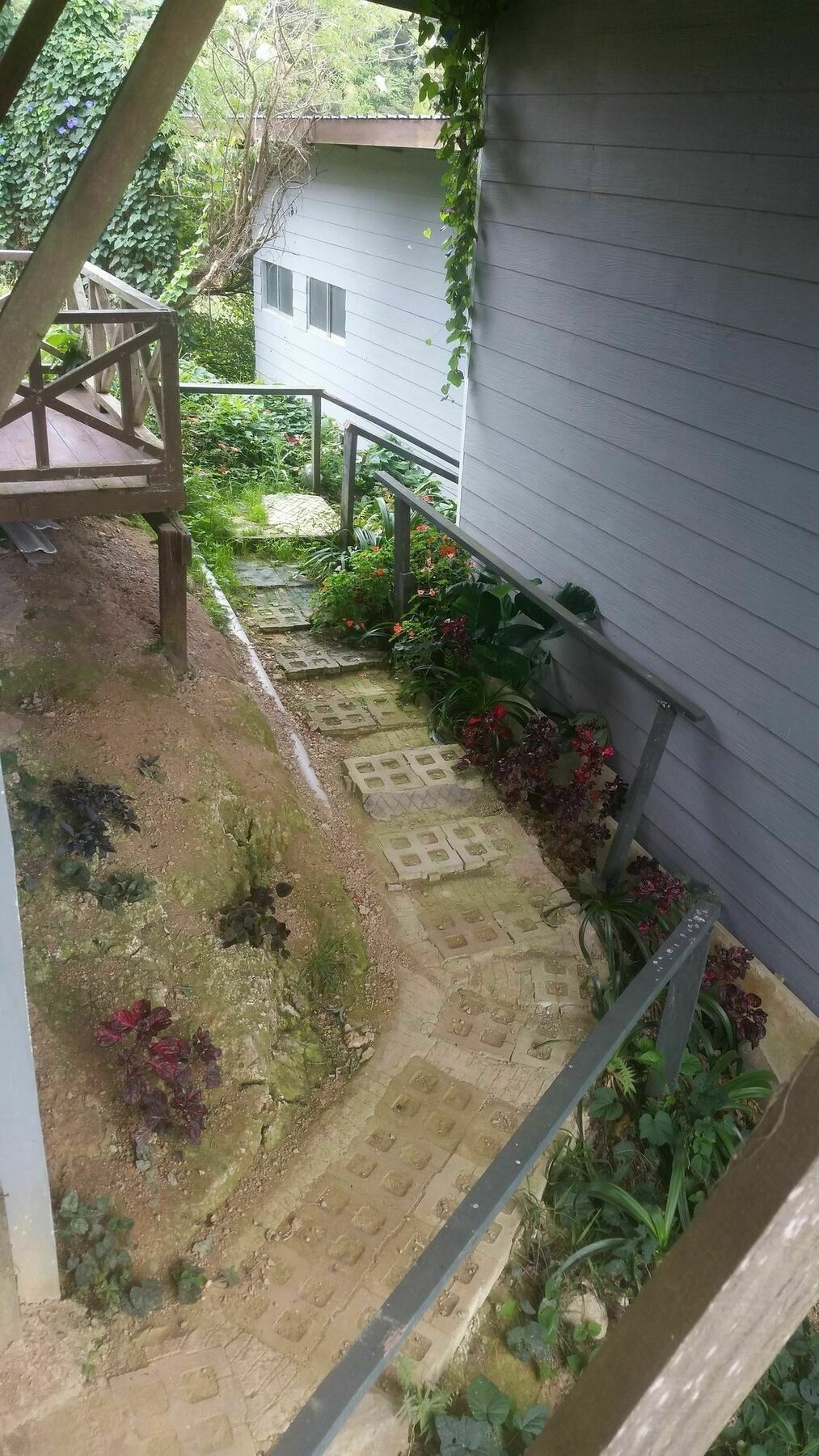 Ceaser'S Place Kundasang Ngoại thất bức ảnh